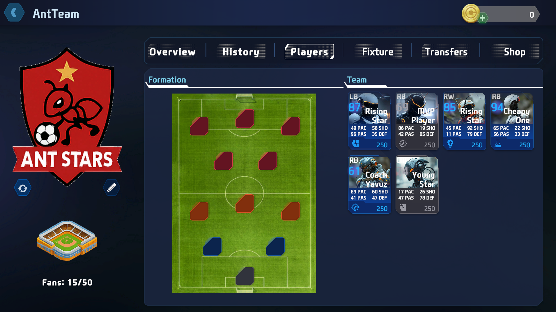 Team Formation